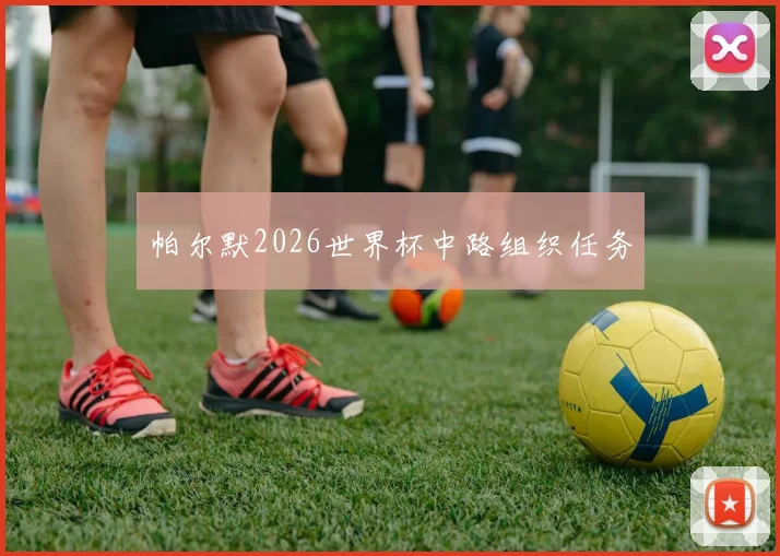 帕尔默2026世界杯中路组织任务