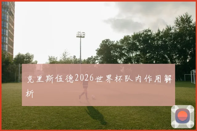 克里斯伍德2026世界杯队内作用解析