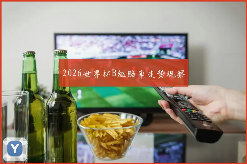 2026世界杯B组赔率走势观察