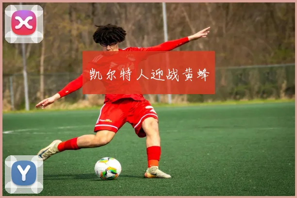 凯尔特人迎战黄蜂