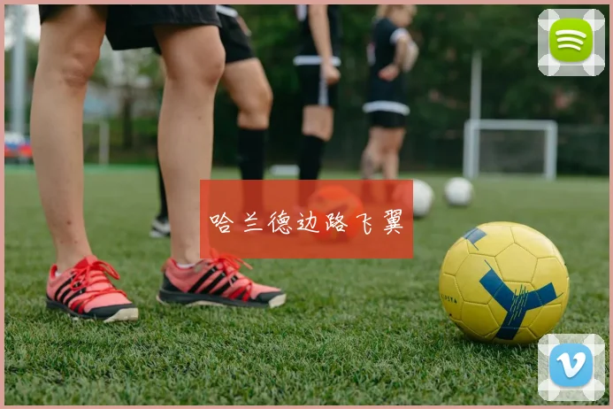 哈兰德边路飞翼