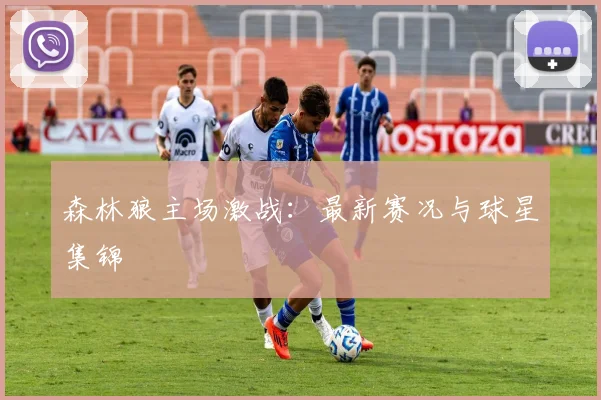 森林狼主场激战：最新赛况与球星集锦