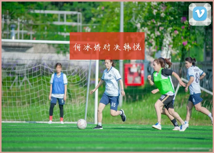 何冰娇对决韩悦