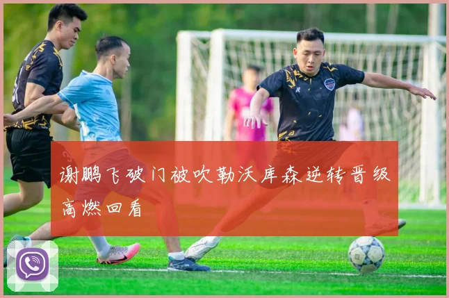谢鹏飞破门被吹勒沃库森逆转晋级高燃回看