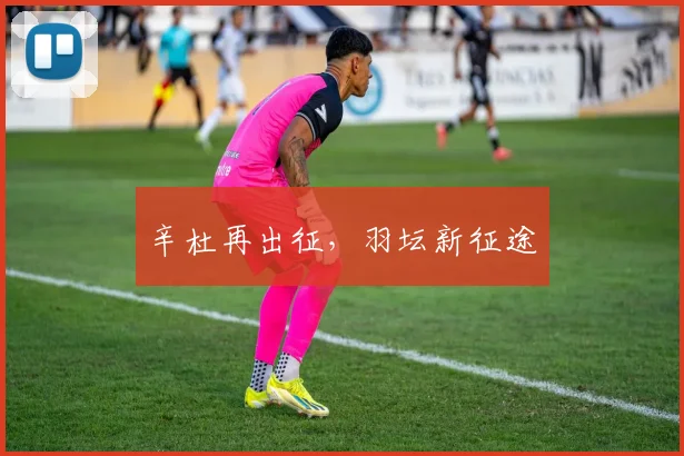 辛杜再出征，羽坛新征途