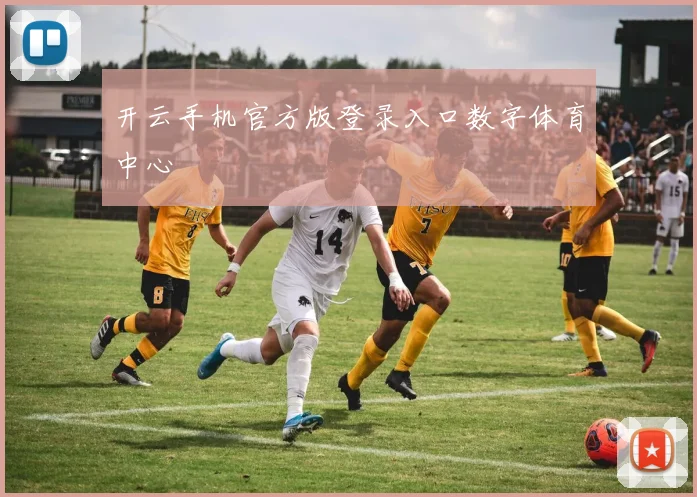 开云手机官方版登录入口数字体育中心