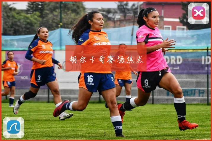 胡尔卡奇赛场焦点
