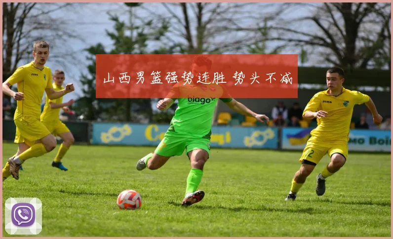 山西男篮强势连胜 势头不减