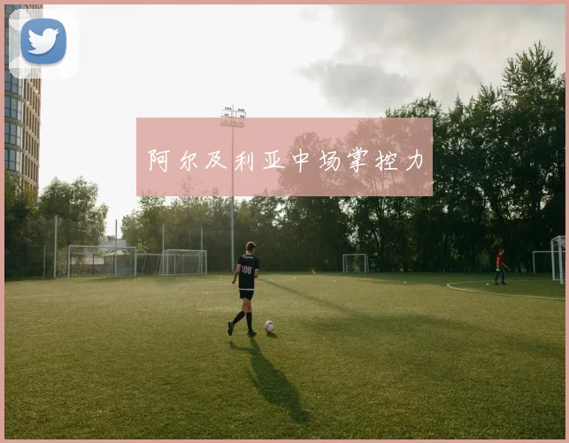 阿尔及利亚中场掌控力