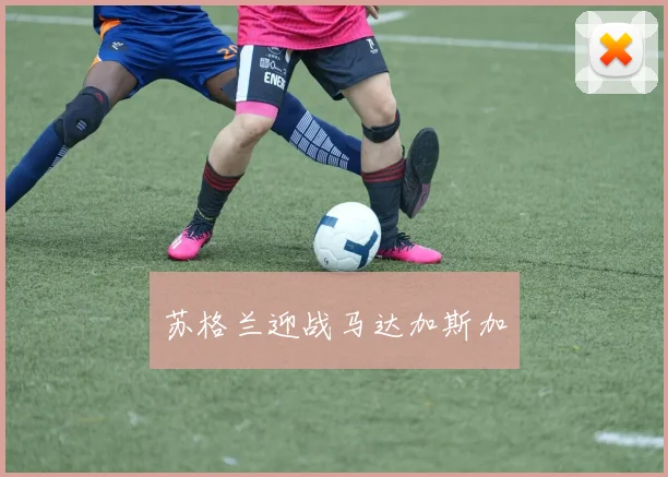 苏格兰迎战马达加斯加