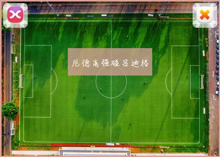 厄德高强碰吕迪格