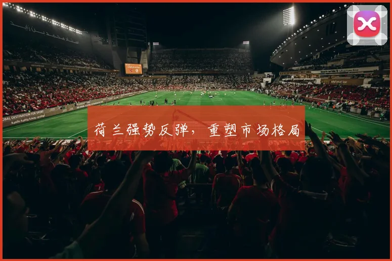 荷兰强势反弹，重塑市场格局