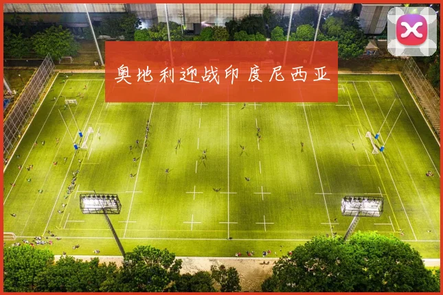 奥地利迎战印度尼西亚