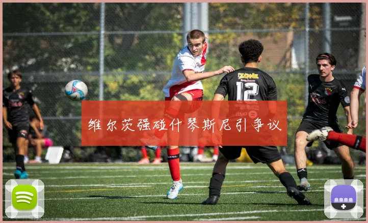 维尔茨强碰什琴斯尼引争议