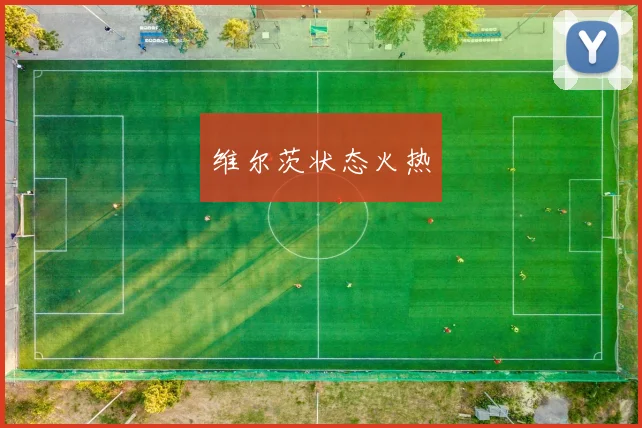 维尔茨状态火热