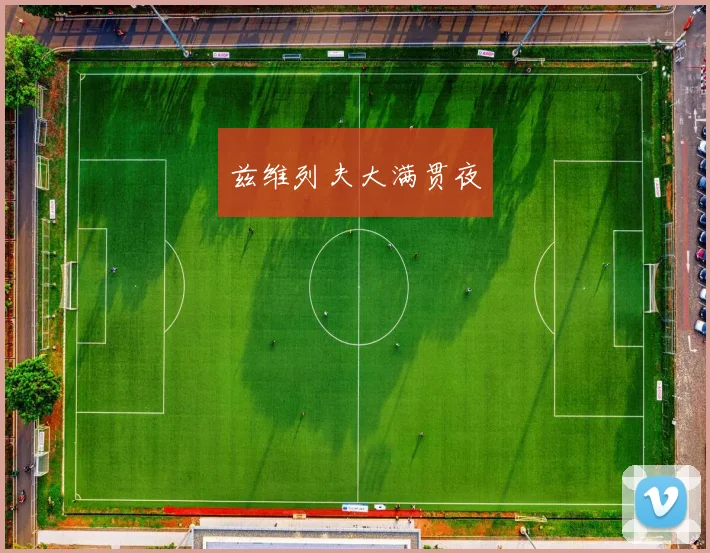 兹维列夫大满贯夜