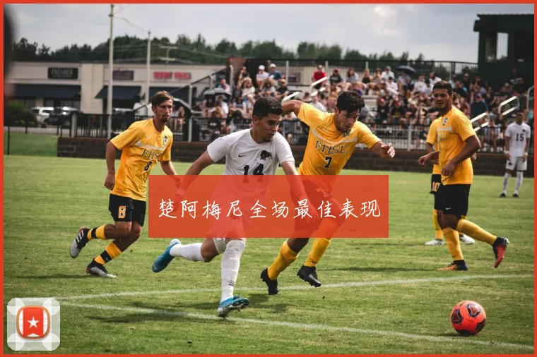 楚阿梅尼全场最佳表现