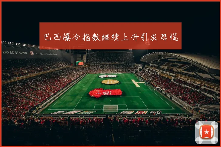 巴西爆冷指数继续上升引发恐慌