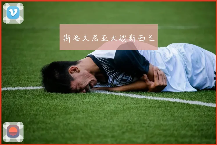 斯洛文尼亚大战新西兰