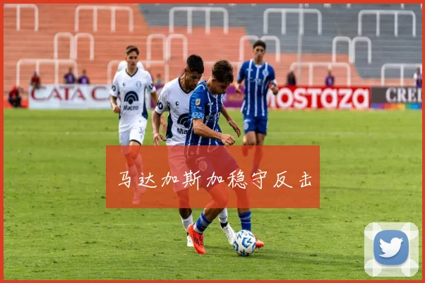 马达加斯加稳守反击