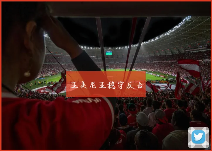 亚美尼亚稳守反击