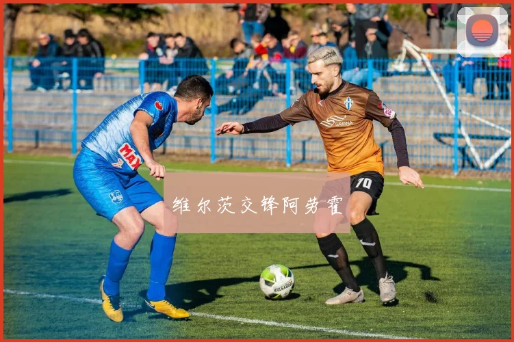维尔茨交锋阿劳霍