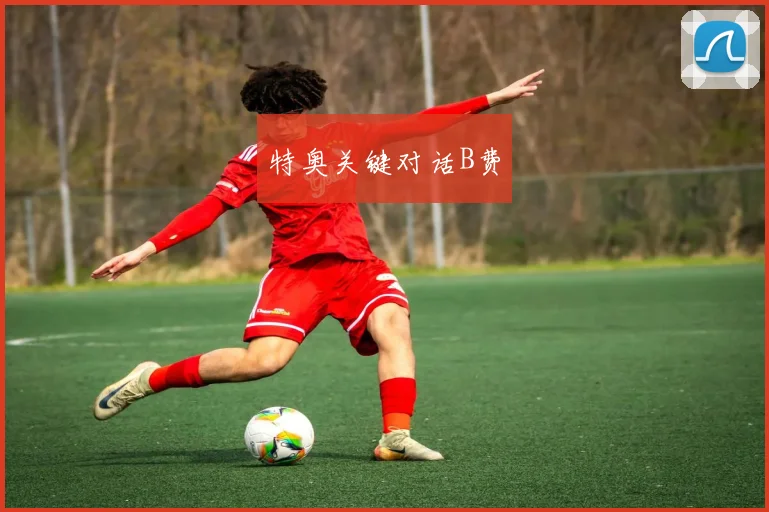 特奥关键对话B费
