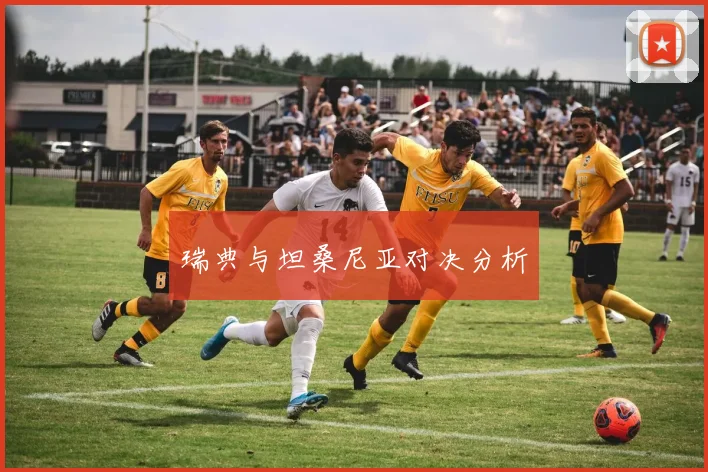 瑞典与坦桑尼亚对决分析