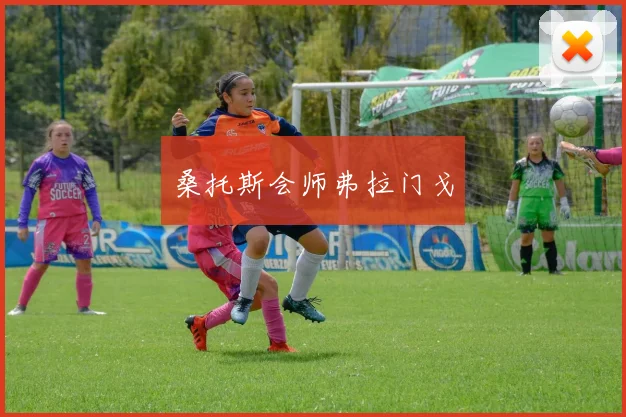 桑托斯会师弗拉门戈