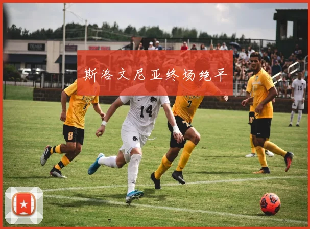 斯洛文尼亚终场绝平
