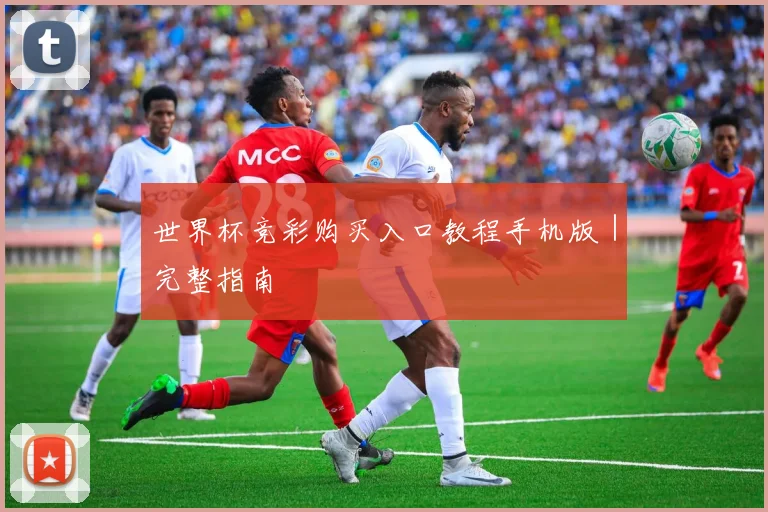 世界杯竞彩购买入口教程手机版｜完整指南